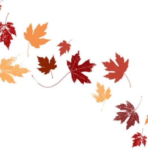 Meet your Posher, Jaclyn - Picture 2 of 2